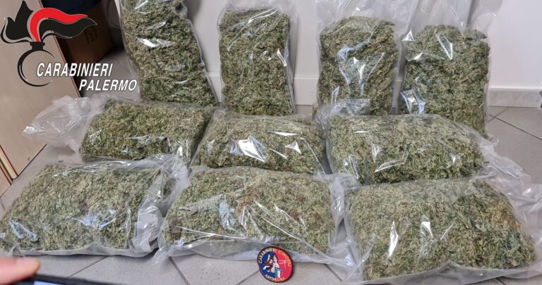 Deteneva in casa 10 chili di marijuana per un valore 100.000 euro. Arrestato da Carabinieri
