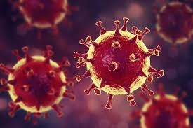 Coronavirus, impennata di nuovi contagi in Sicilia, la Provincia di Palermo contribuisce con il 50% di positivi