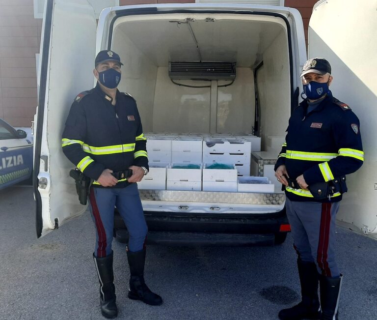 Buonfornello, Polizia Stradale sequestra 475 chilogrammi di novellame di pesce: denunciate tre persone