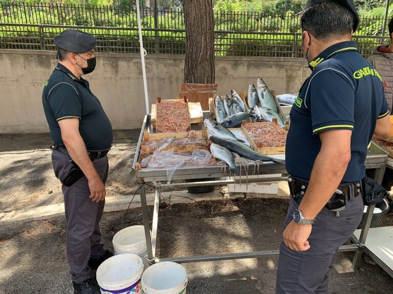 Termini Imerese, sequestrato 47 Kg di pesce ad ambulante abusivo in via Piersanti Mattarella