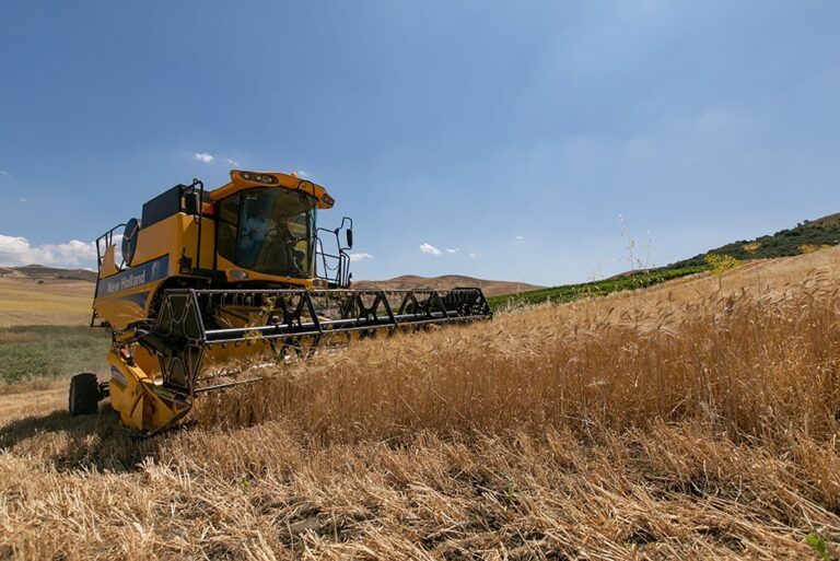 Polizzi Generosa, al Feudo Verbumcaudo confiscato da Falcone al boss Michele Greco si celebra l’inizio della mietitura 