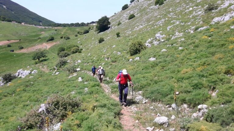 Madonie. Escursione di solidarietà il 27 Agosto a Piano Cervi