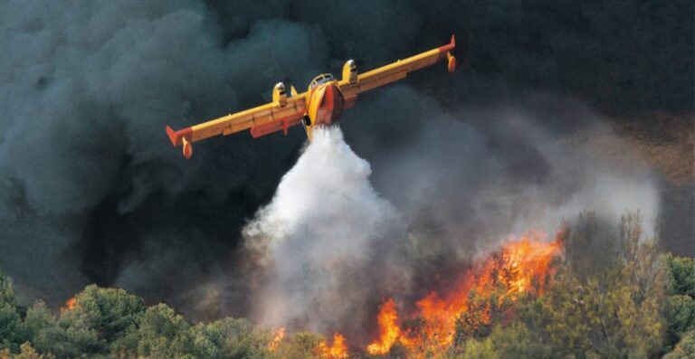 Parco delle Madonie a sostegno delle aziende colpite dagli incendi