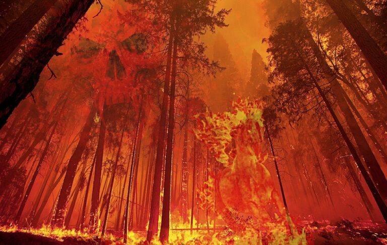 Incendi, governo Musumeci dichiara stato di crisi e di emergenza in Sicilia