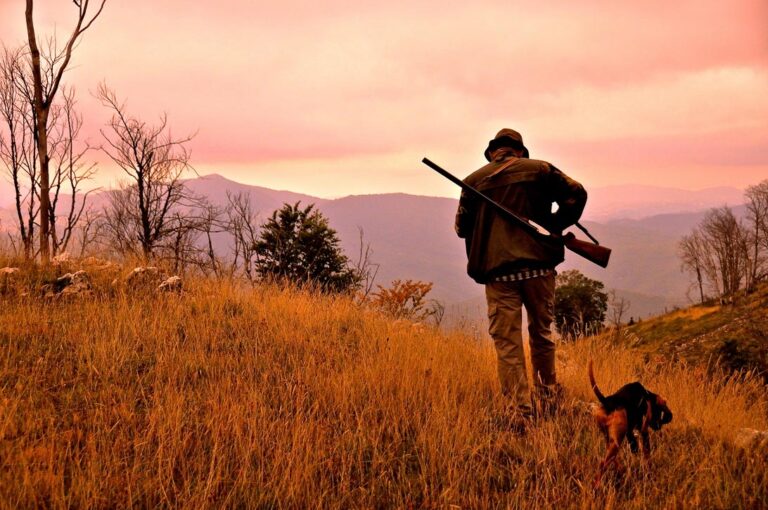La caccia in Sicilia si ferma nuovamente, il TAR di Catania la sospende dal 13 settembre al 2 ottobre