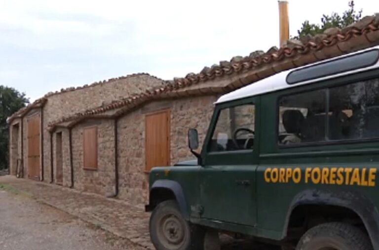 Corpo forestale della Regione, riaprirà tra breve il distaccamento Collesano