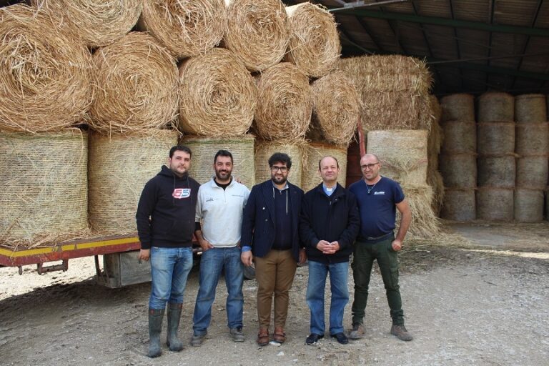 Madonie, incendi: 300 balloni di foraggio per 27 aziende di Geraci Siculo
