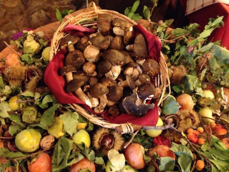 Castelbuono, rinviato il “Funghi Fest” 2021: “condizioni non favorevoli”