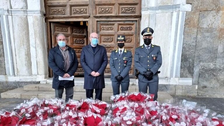 Cefalù: la Guardia di Finanza sequestra 84 “Stelle di Natale” ad un ambulante, donate a istituti ecclesiastici