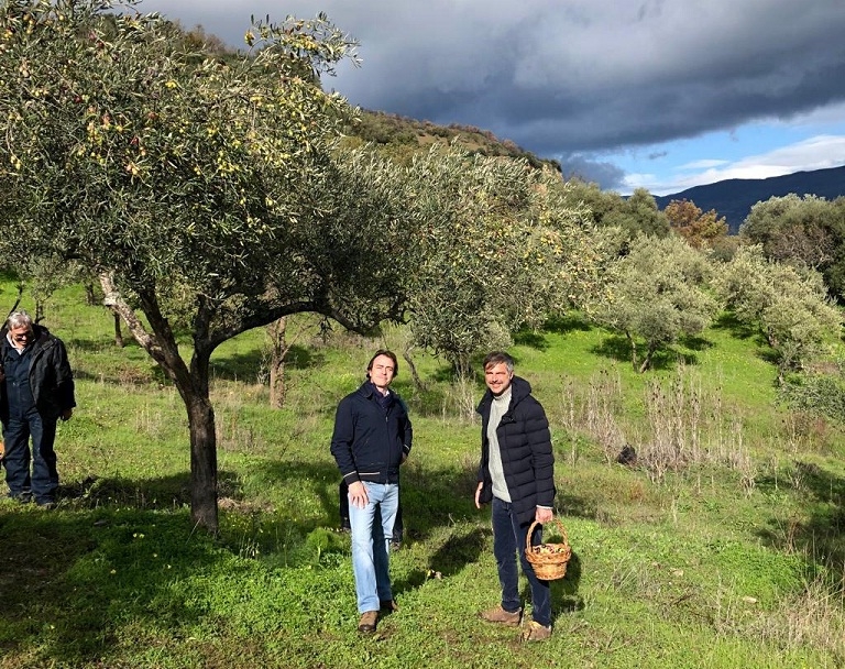 Rai Uno, domani puntata di Linea Verde dedicata alle Madonie