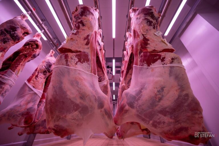 Madonie, Corso di formazione per macellaio con possibilità di assunzione