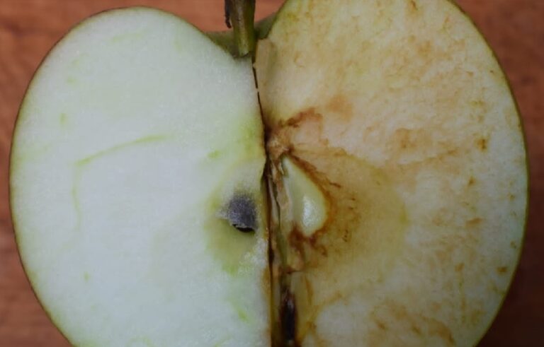 Stress Ossidativo e Radicali liberi, un convegno a Termini Imerese