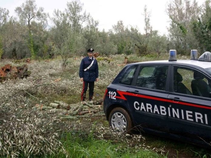 Confiscati beni per circa 10 milioni di euro a mafioso palermitano: c’è anche un terreno nel comune di Trabia