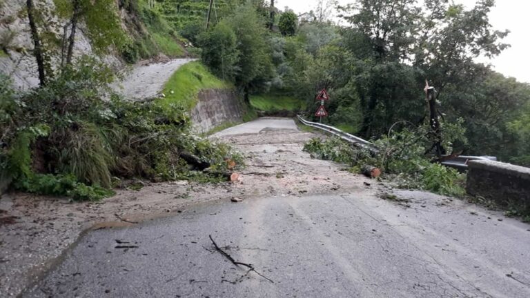 Strade delle Madonie. Movimento Cristiano Lavoratori: “abbandonate non per mancanza di risorse ma per negligenza”