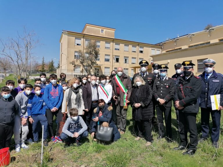 L’Albero Falcone continuerà a vivere anche a Gangi grazie all’adesione dell’Istituto Comprensivo Polizzano