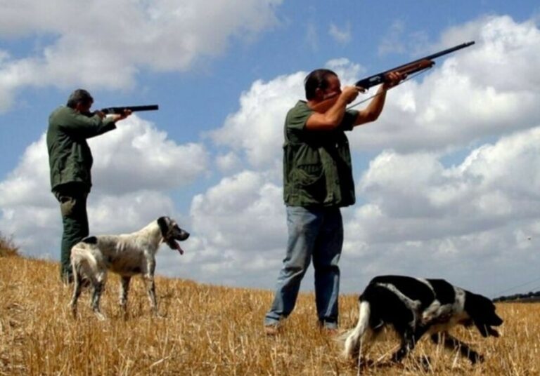 Caccia: pubblicato in Sicilia il calendario. Nel nostro territorio attività venatoria proibita nel Parco delle Madonie e nelle riserve di S. Calogero, Bosco della Favara e Pizzo Cane