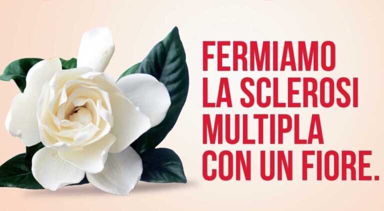 “Fermiamo la Sclerosi Multipla con un fiore”: iniziativa in tante piazze anche del nostro Comprensorio