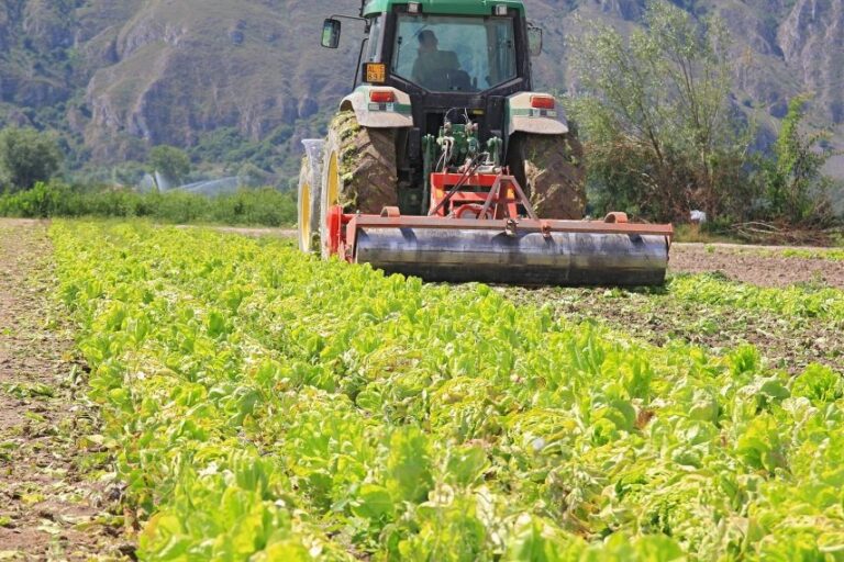 Agricoltura, aiuti a 1.380 aziende colpite da lockdown. Diversi beneficiari nel nostro Comprensorio