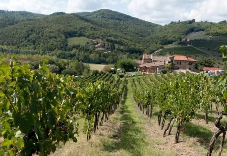 Alimentare, dal governo Musumeci 60 milioni ai settori agricolo e ittico