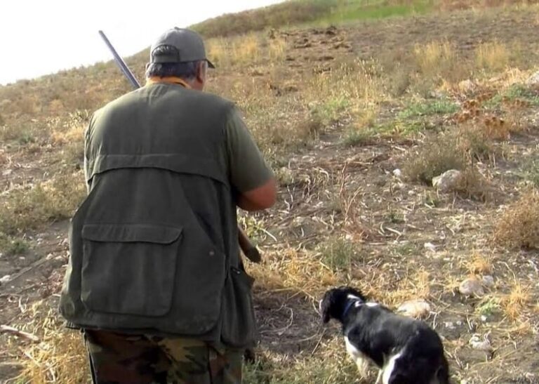 In Sicilia vietata la caccia al Coniglio e alla Tortora