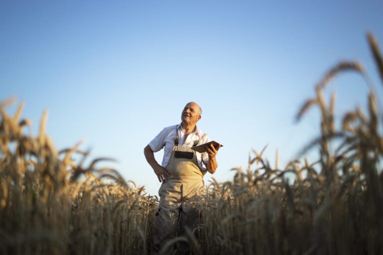 Gal Madonie, nuova dotazione economica per tre progetti: filiera zootecnica, banda larga per territori agricoli e piani di sviluppo dei comuni