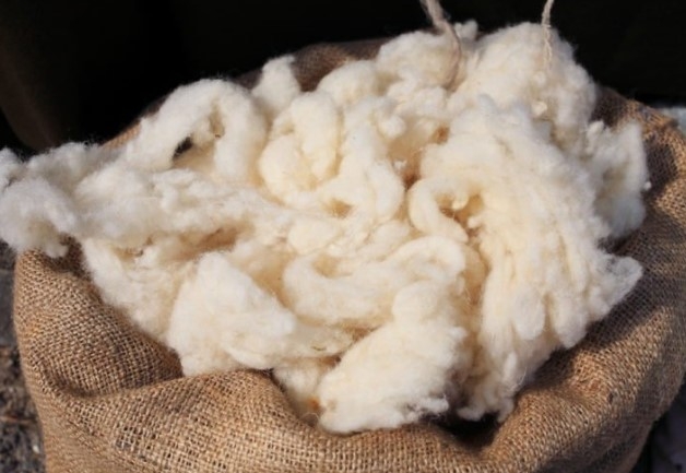 La lana: scarto o risorsa? Incontro al  Comune di Polizzi Generosa