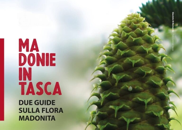 Polizzi Generosa: Madonie in Tasca, due guide sulla flora madonita