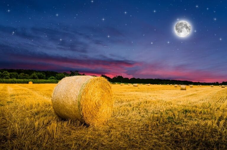 A Sciara la “Notte dell’Agricoltura”: dibattiti, mostre, degustazioni