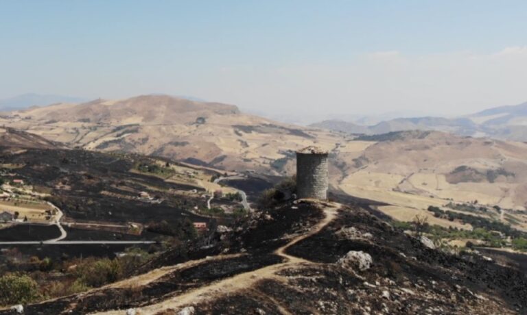 Madonie, “Riforestazione post incendi estivi 2021”: manifestazione dell’Ente Parco a Petralia Sottana