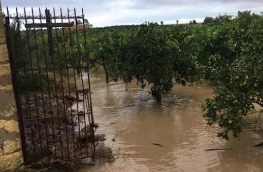 Maltempo mette in ginocchio l’agricoltura. Cia Sicilia: “Attivare tutte le misure legislative ed i fondi per il ristoro dei danni”