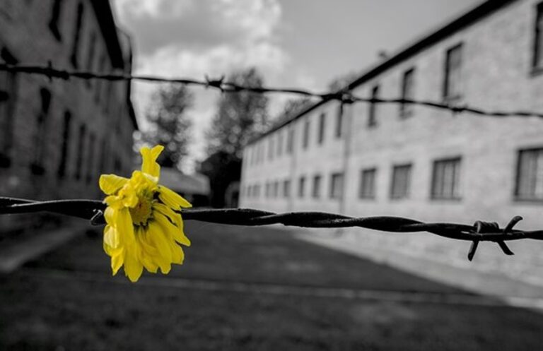 Cefalù celebra la Giornata della memoria