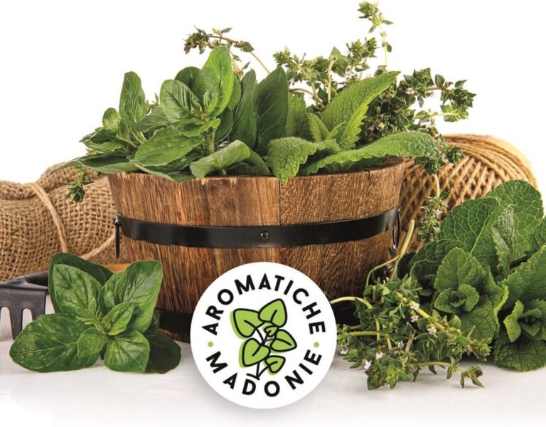 Sagra del Buon Cibo di Montagna: si presenta il progetto Aromatiche Madonie