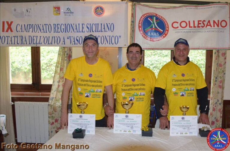 Castellana Sicula, IX edizione del Campionato regionale di potatura dell’olivo a vaso policonico