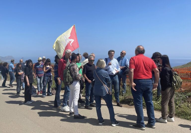 Abbattuti 1600 alberi d’ulivo per il “Thyrrenian Link”, sit in dei cittadini a Sant’Onofrio