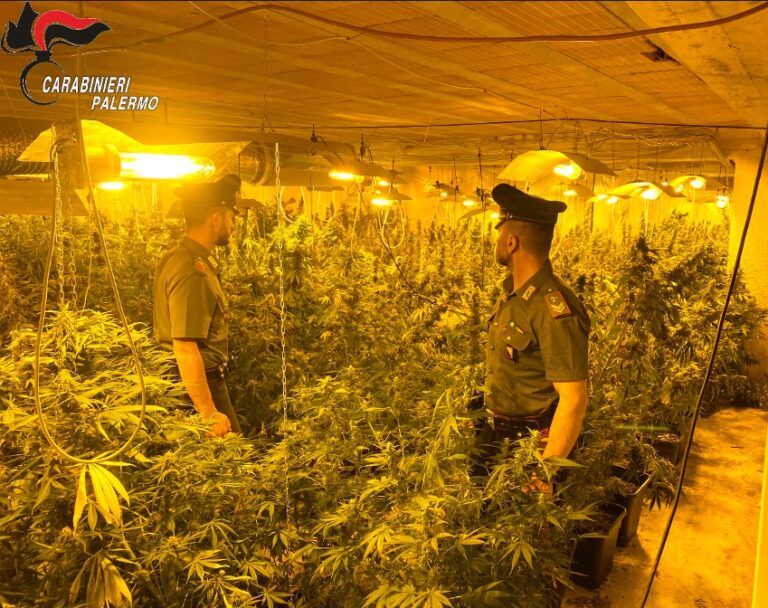 Serre indoor e spaccio di marijuana, arrestati due uomini dai Carabinieri di Partinico