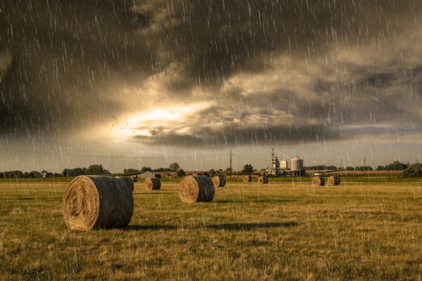 Gangi: il comune avanza richiesta di riconoscimento dello stato di calamità naturale a seguito delle intense piogge che nelle scorse settimane