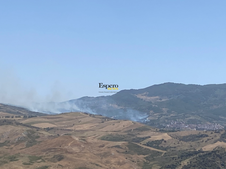 Vasto incendio ad Aliminusa, in fiamme ultiveti e alberi da frutto