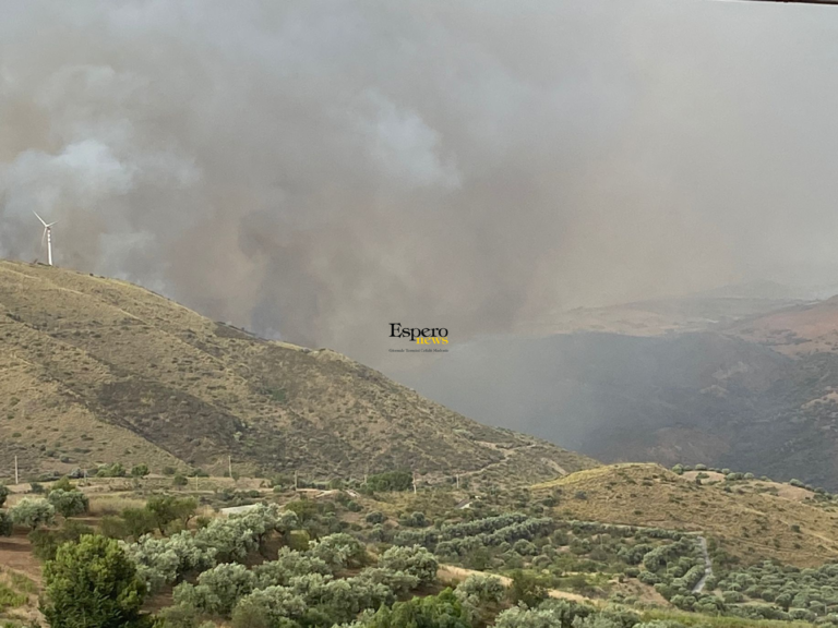 Incendio tra Aliminusa e Cerda, un agricoltore: “ci hanno lasciati soli”