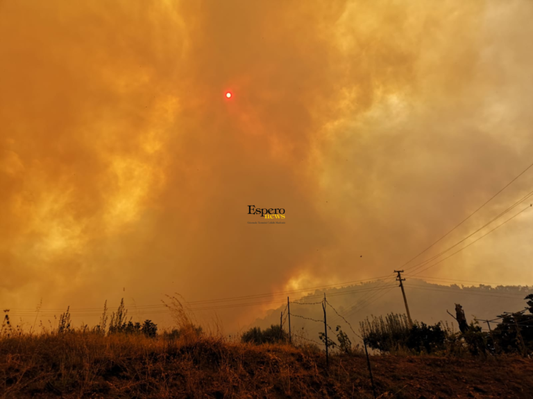 Incendi sulle Madonie: a Cefalù colpite diverse contrade, fuoco anche a Gibilmanna e diversi blackout