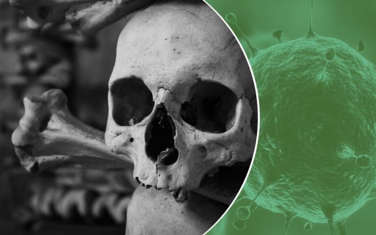 Archeologia delle infezioni: storia dei virus e dei batteri del pianeta