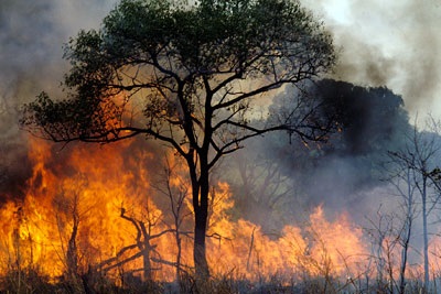 Rapporto ISPRA 2022, incendi: Sicilia resta la regione con più ecosistemi a fuoco