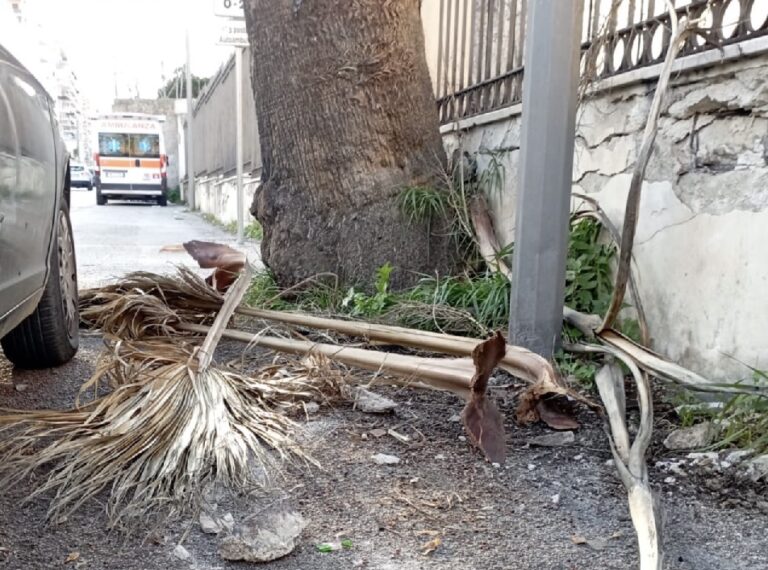 Anziana cade a causa di strada sconnessa e si rompe una gamba ma il comune di Palermo non risponde