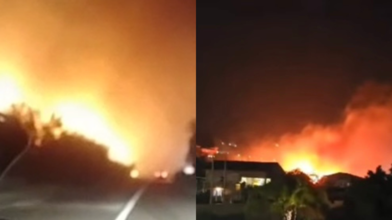 Incendi a Campofelice di Roccella e Termini Imerese, una ferita sempre aperta