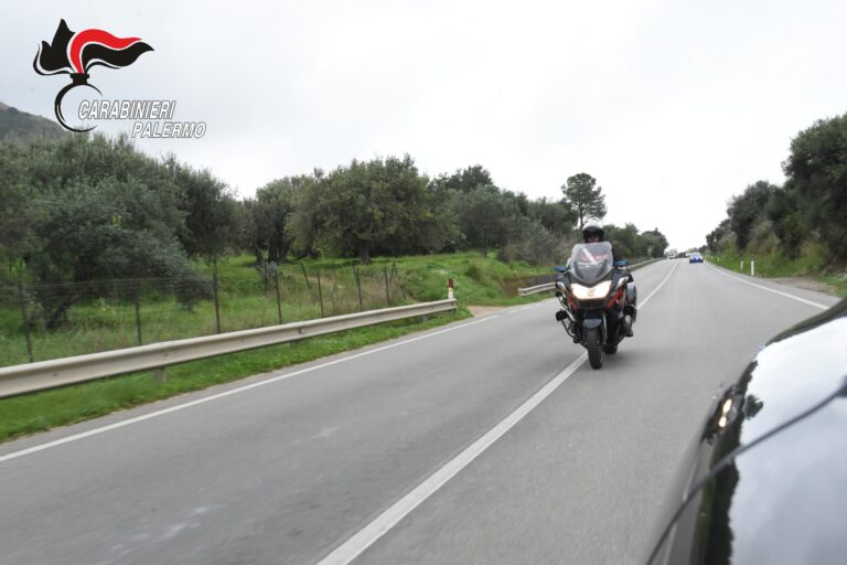 Scoperta piantagione di marijuana a Collesano, denunciato 70enne di nazionalità tedesca