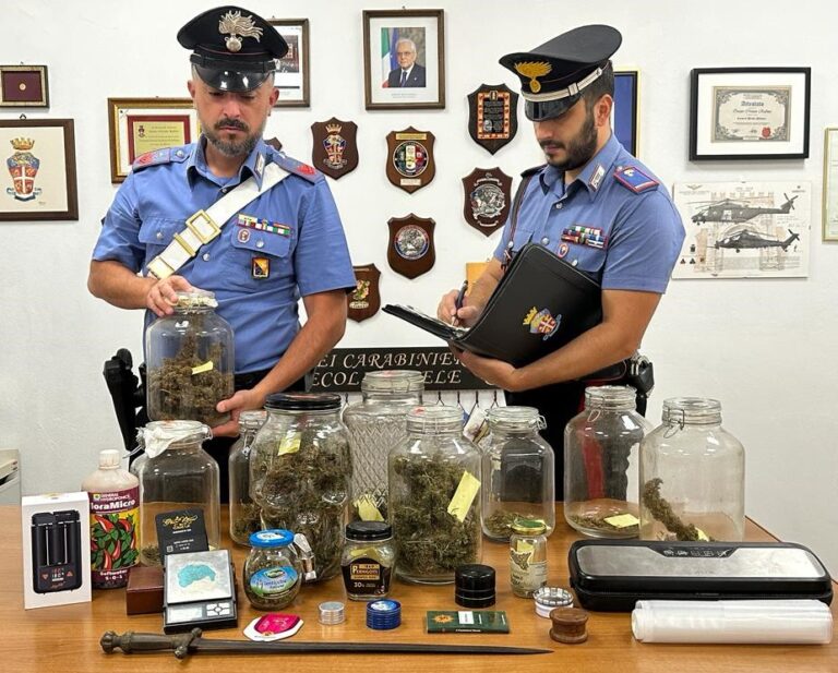 In cantina nascondeva serra per coltivazione di marijuana: arrestato 33enne