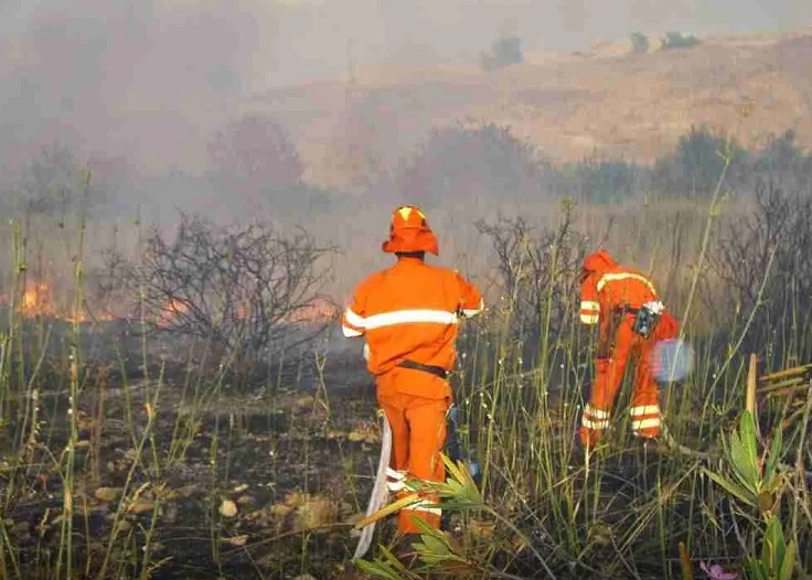 Incendi, Ingrassia (Comitato Consultivo Provinciale Inail di Palermo): la salute dei lavoratori prima di tutto