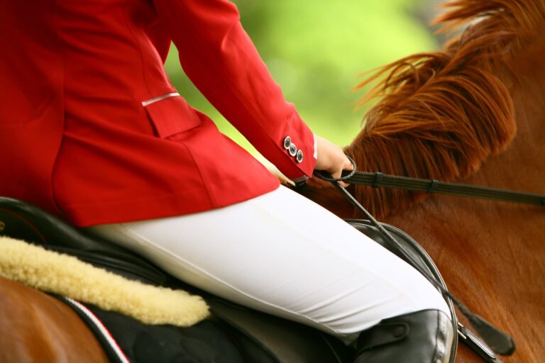 Dopo “Medi Cavalli” torna a Palermo la “Fiera Mediterranea del Cavallo”, domani l’inaugurazione