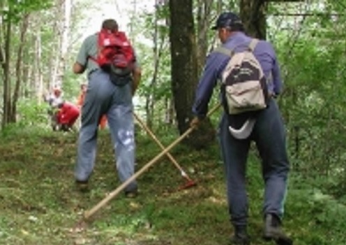 Interrogazioni all’Ars sugli arretrati ai forestali: contributo della Uila Palermo