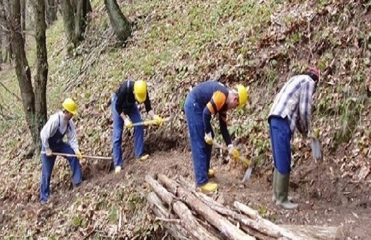 Recupero arretrati 2006-2009 dei lavoratori forestali. UIL Palermo: illegittima l’azione del Comando regionale