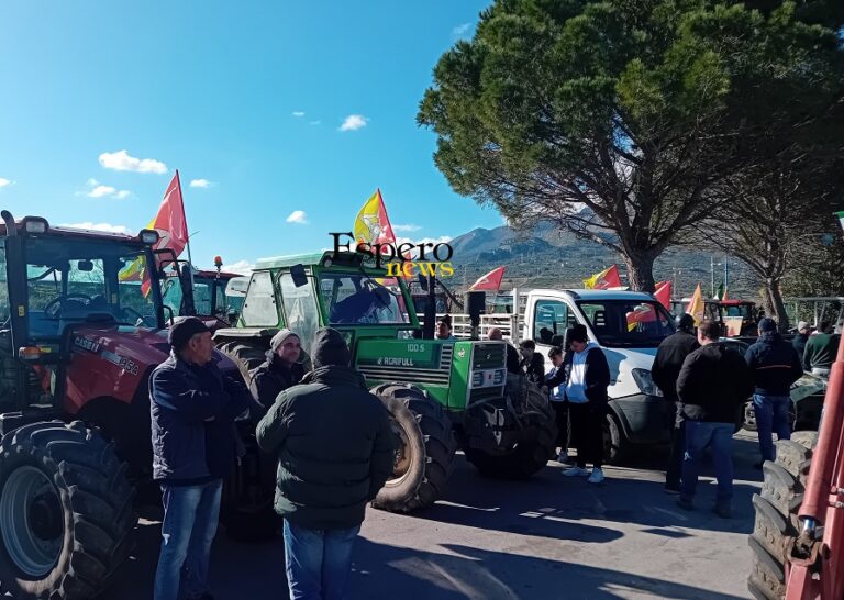Protesta dei trattori: tutte le richieste del “Comitato Agricoltori delle Madonie e della Valle del Torto”